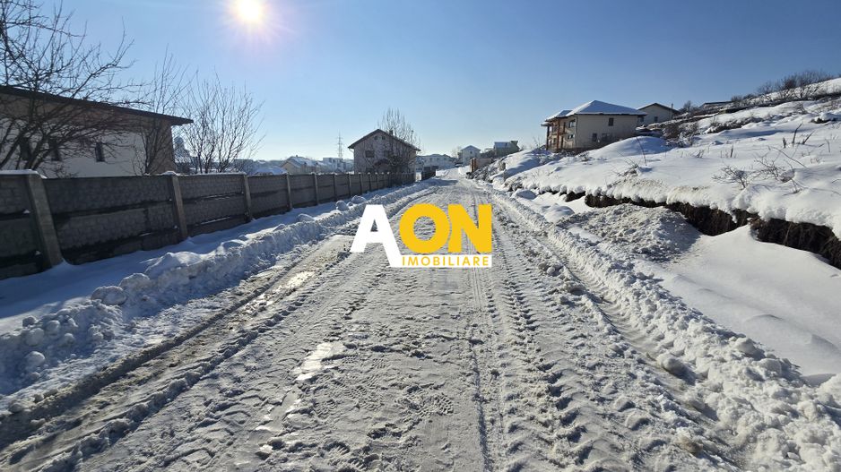 Teren 1000mp Toate Utilitatile Zona Cetate, Pretabil Duplex - Poză 3