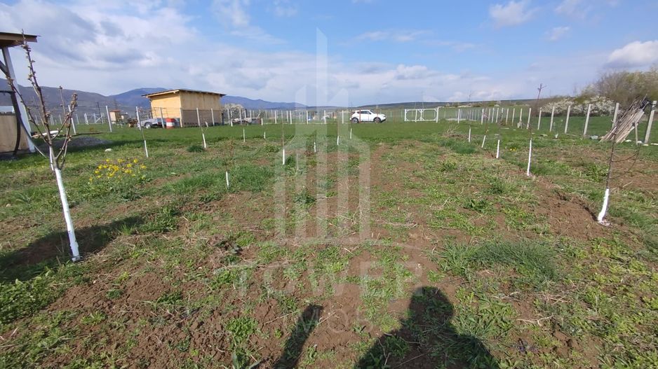 Grădină 862 mp cu cabanuta și pomi fructiferi – între Tălmaciu și Sadu - Poză 2