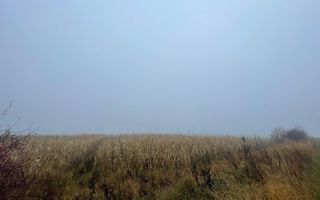 TEREN EXTRAVILAN | DOUA PARCELE 2.84 HA| IDEAL AGRICOL | DARMANESTI - Poză 18