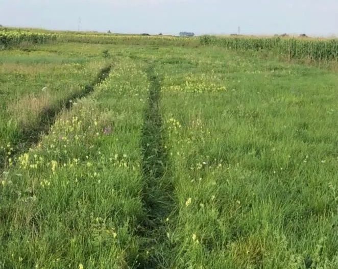 Ag EUROPA vinde teren intravilan 10 ari front la sosea apa curent gaz - Poză 1