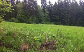 Teren intravilan Cotul Donului,pretabil Hotel/pensiune. - Poză 12