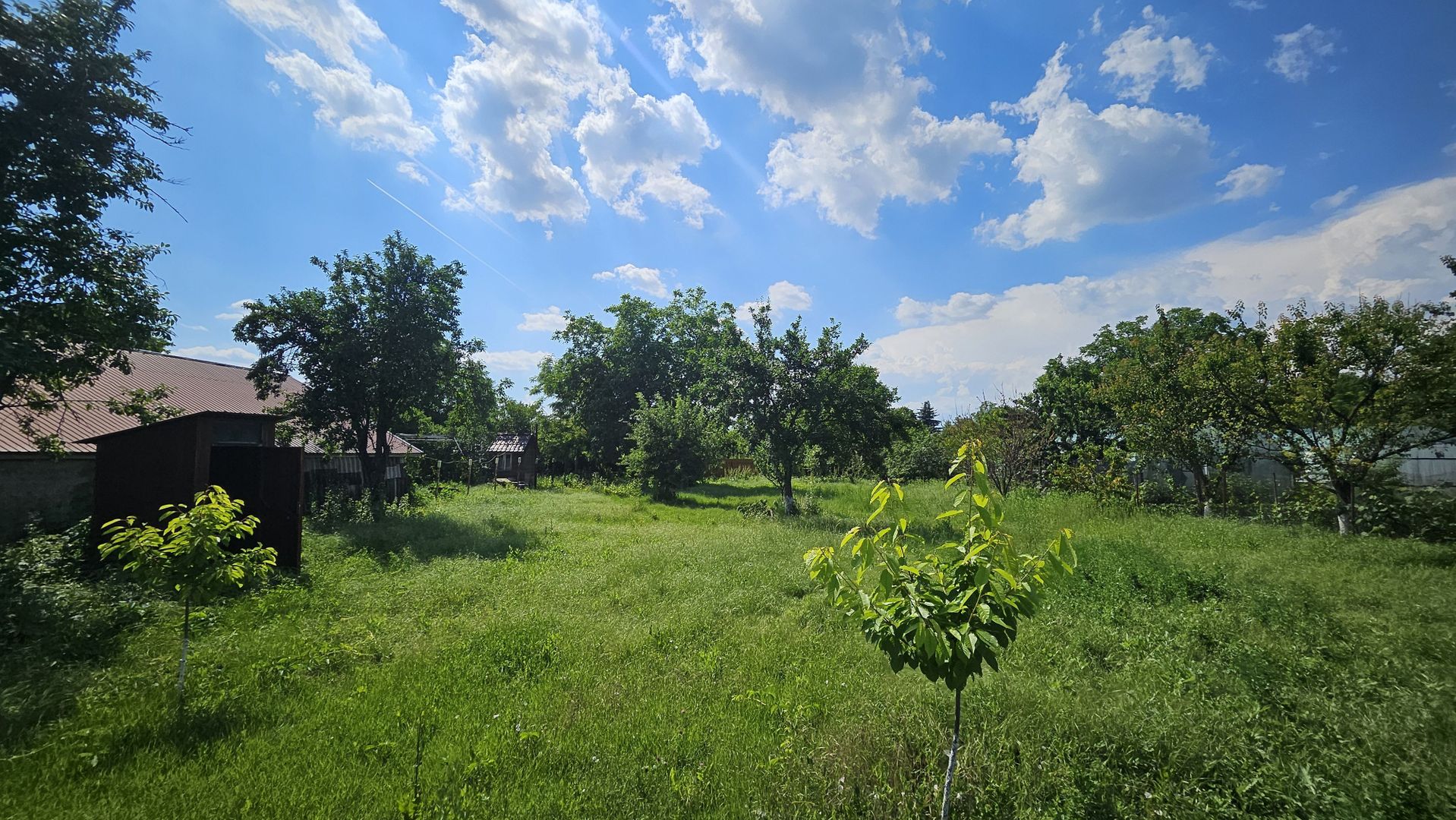 Teren intravilan 1400mp, deschidere 20mp, Snagov - Poză 4