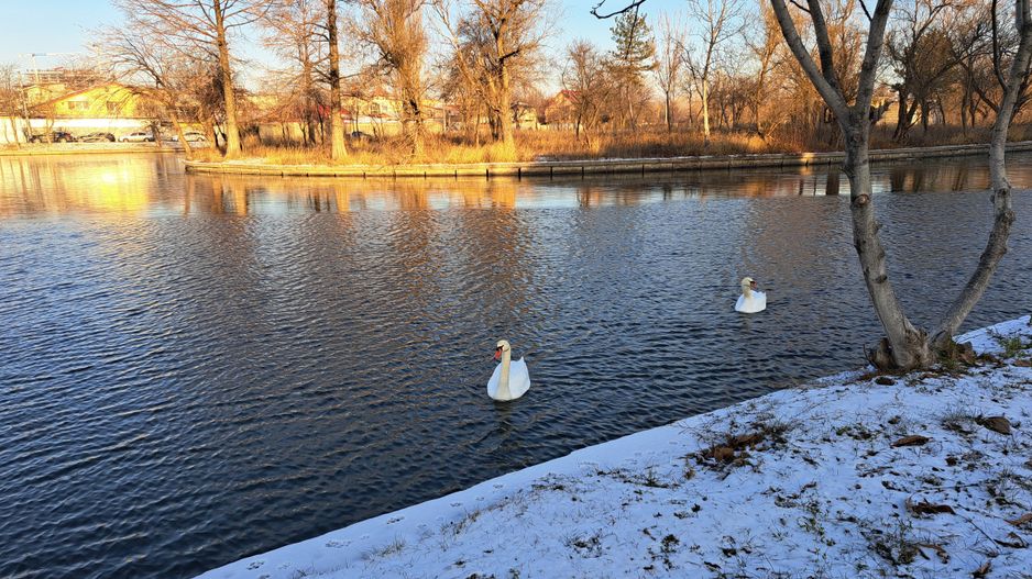 Teren intravilan 340 mp - Parcul Plumbuita - Poză 11