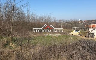 NECTORA IMOB-Teren Intravilan Lac Paleu, 886 mp, Front 27 ml,Utilitati - Poză 2