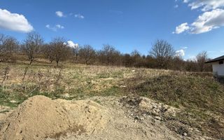 Teren Intravilan 6 ari Drumul Sigmirului - Cu Proiect de casa - Poză 5