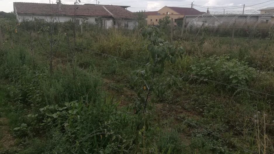 Ferma de vânzare - Poză 11