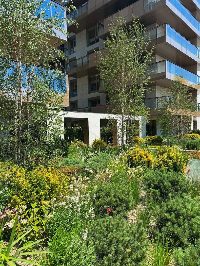 Cortina 126 - Poză 12