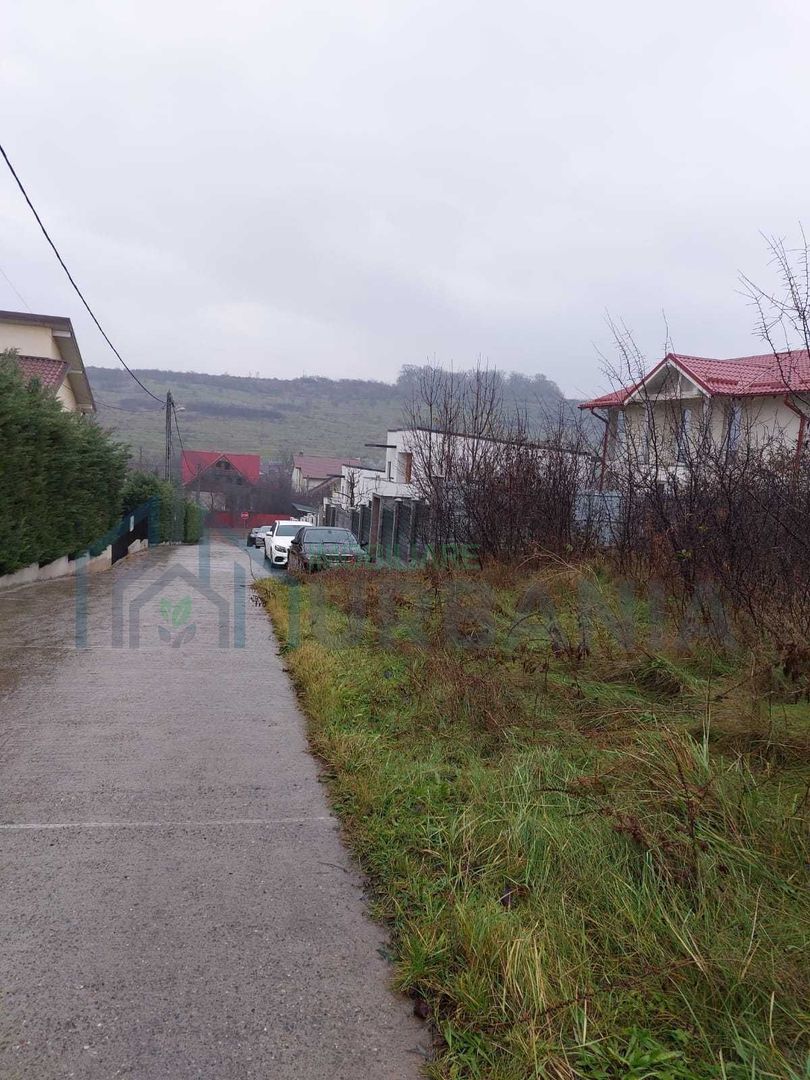 Teren Bucium 3 min de Hanul 3 sarmale, la Soseaua Barnova - # - Poză 7