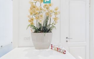 Apartament deosebit în clădire istorică central - Poză 4