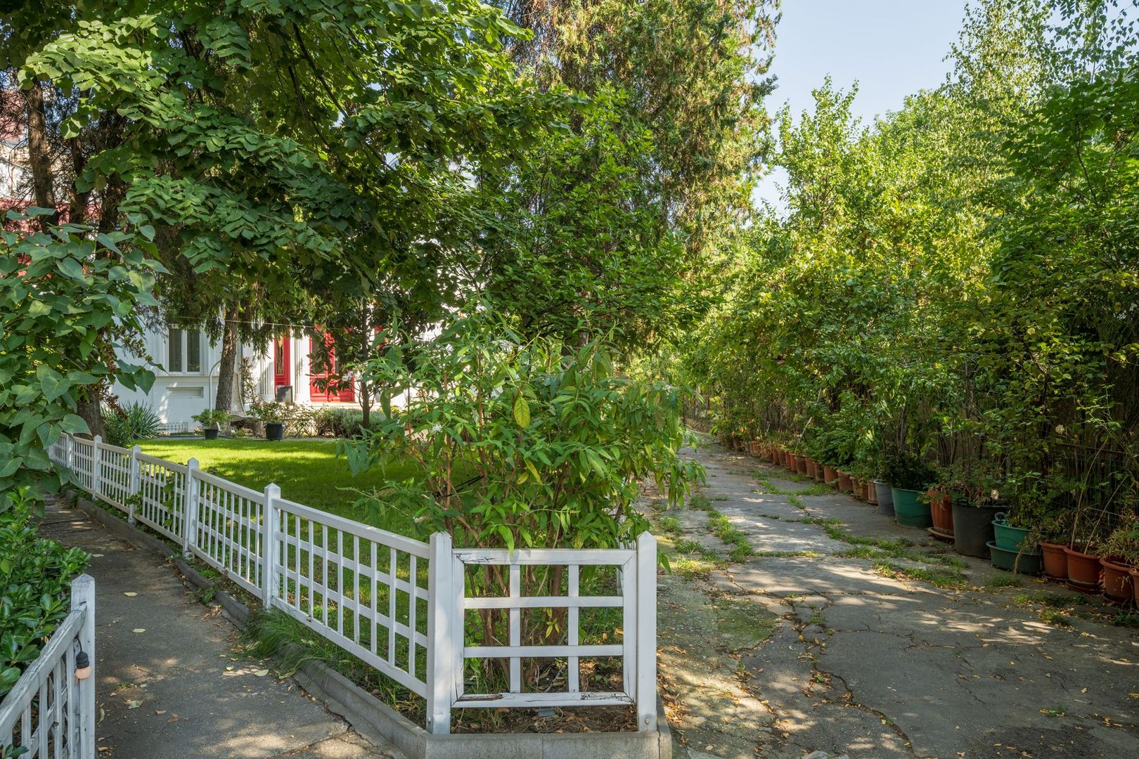 Vila Interbalica in centrul Bucurestiului - Poză 36