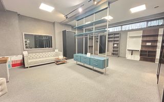 Imobil S+D+P+E+M - Centru - str. Siretului v-a-v de Regina Maria 678mp - Poză 6