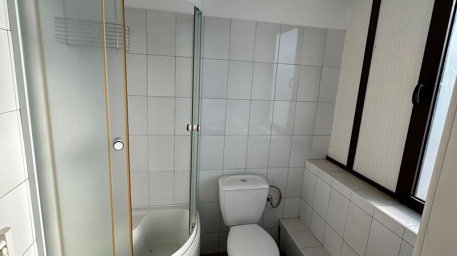 Spatiu productie/ depozitare  zona Sagului - Poză 18