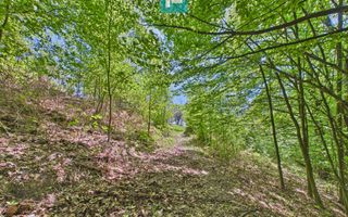 Proprietate rară cu 24.270 mp, în Măgulicea, Arad! - Poză 31