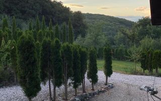 Vanzare teren 3000 mp, cabana, zona D D Rosca, Faget - Poză 5