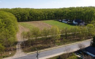 EXCLUSIVITATE-PROIECT UNIC PADUREA SNAGOV! Loturi 400-600 m2 ,PUZ - Poză 6