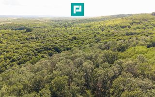 TEREN AGRICOL EXTRAVILAN  22.900 MP LIPOVA - Poză 20