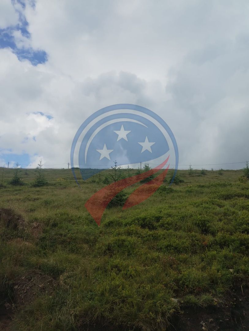Teren de vanzare in Horezu/Pietrele Rosii/Valcea - Poză 5
