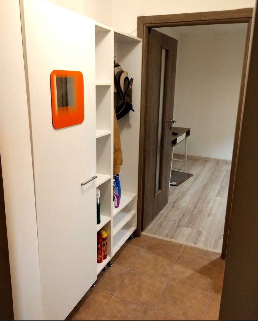 AP. 2 CAMERE TEIUL DOAMNEI, PET-FRIENDLY,REABILITAT, BUCATARIE INCHISA - Poză 7