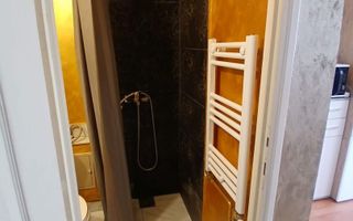 Garsonieră I  24 MPU I Decomandată I Terezian I Târgul Cailor - Poză 5