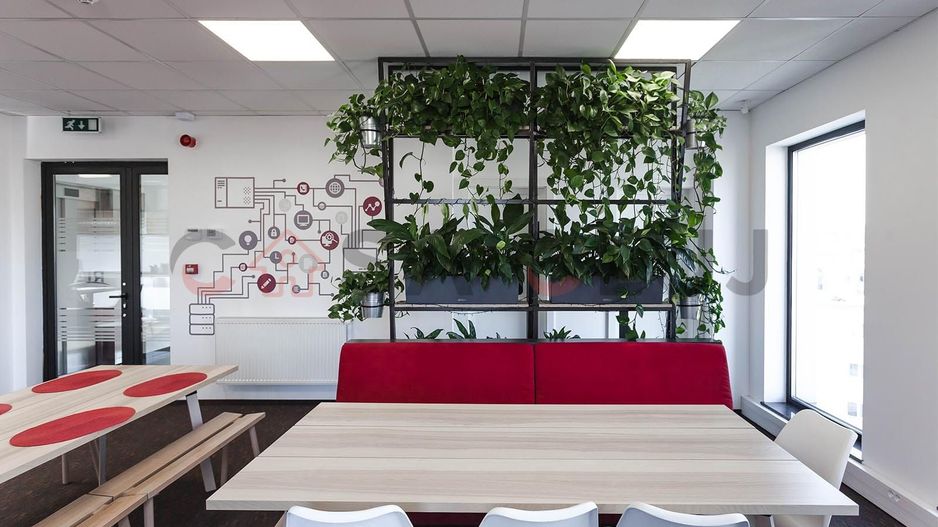 Spațiu de birouri , semicentral, Mărăști - Poză 10