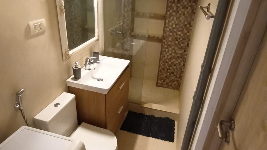 3 camere| ION MIHALACHE - Poză 14