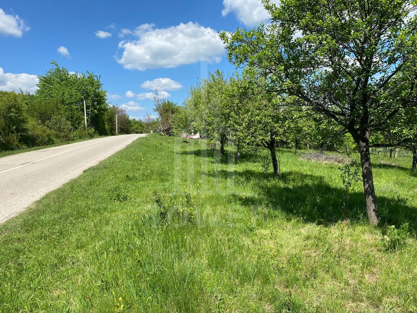 Teren premium 1000 mp-Sibiel - Poză 6