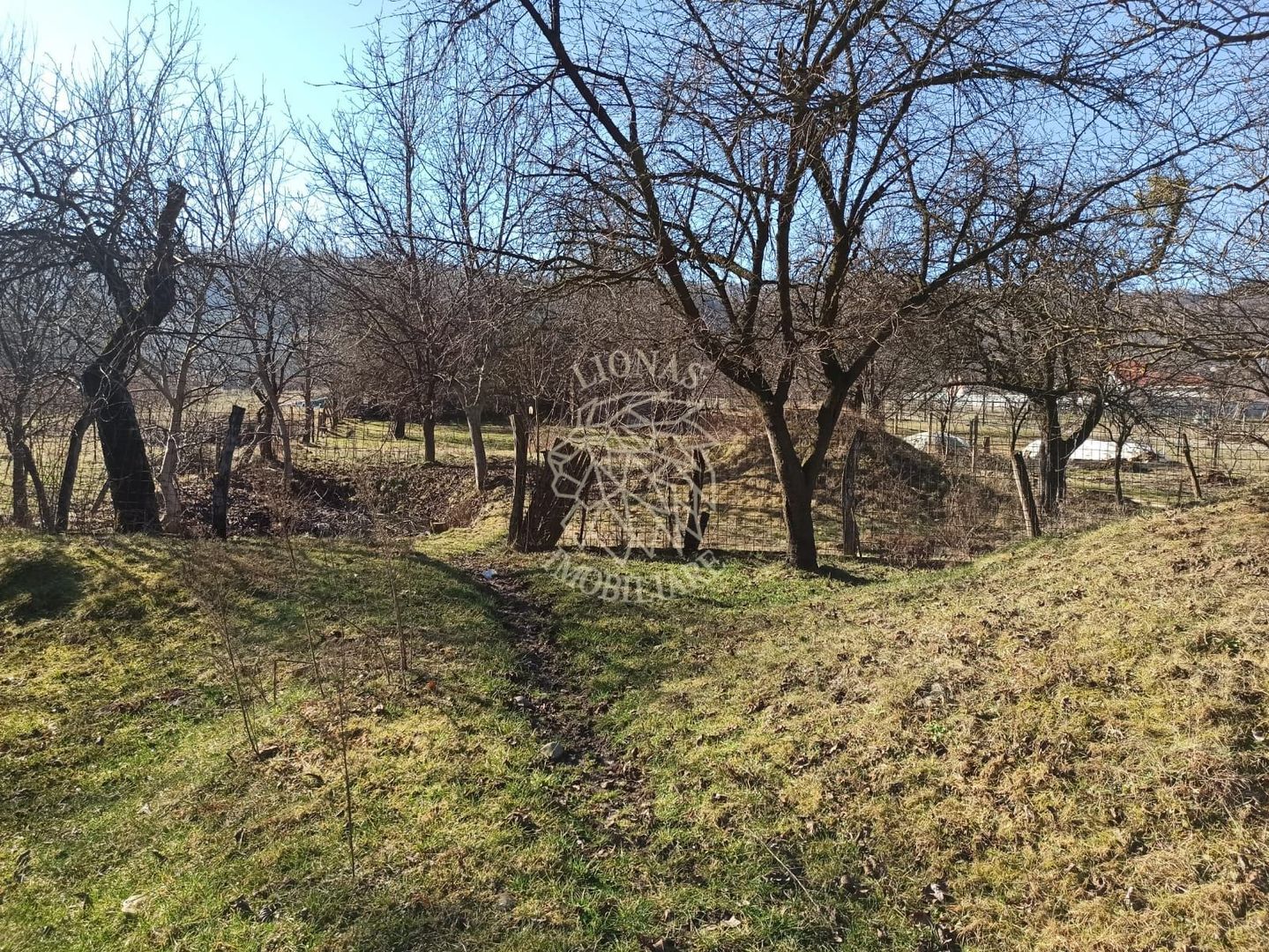 Casa 4 camere-teren 2410 mp-grajd-sura-fanar-magazie-Prundu Bargaului - Poză 1