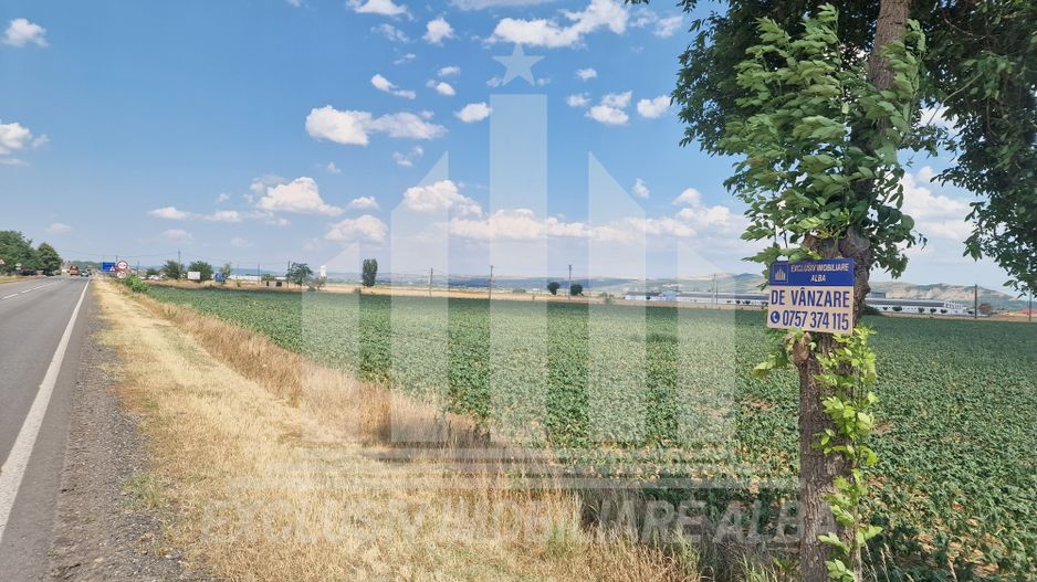 Teren agricol la sosea, pretabil si ptr constructii industriale - Poză 1