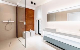 Vila deosebita de vanzare Zona Iancu Nicolae - Poză 6