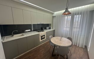 Chirie, apartament, 2 camere, str. Nicolae Testemiteanu,  Botanica - Poză 8