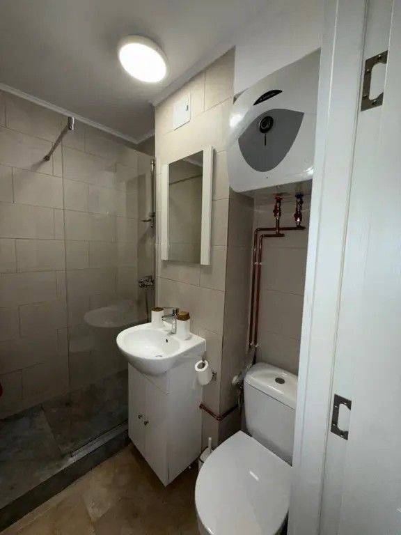 Apartament Victoriei // Veronica Micle - Poză 6