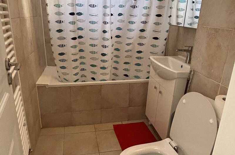 Apartament 2 camere zona TItan - Metrou Titan - Poză 10