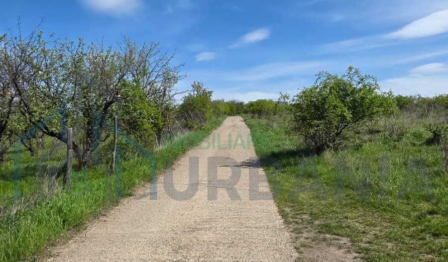 Teren intravilan 1500 mp, Tomesti – Chicerea, 10 km de Iasi, utilitati la limita - Poză 3