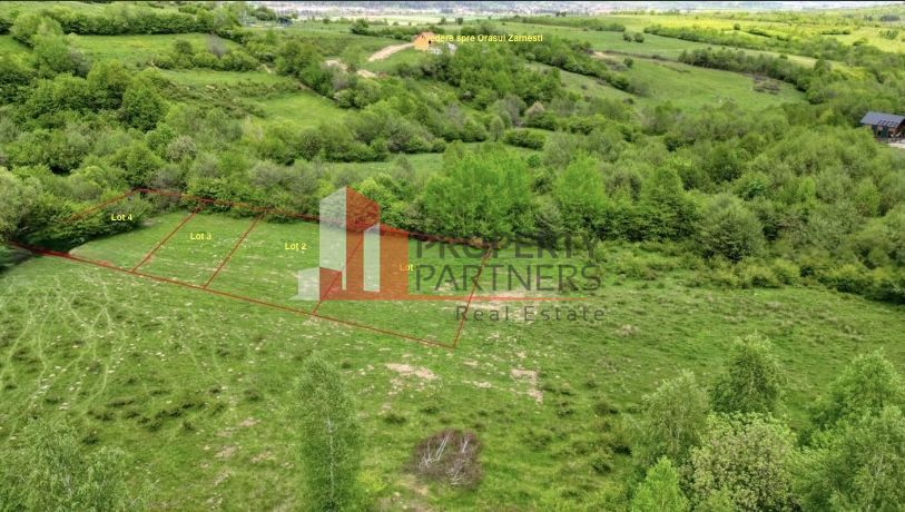 Teren intravilan 500 mp sau 1000 mp în Zarnesti –Tohanita incepand cu 17500 euro - Poză 1