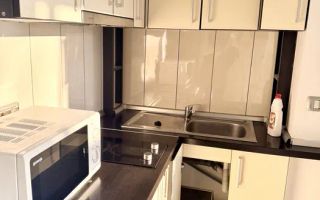 Garsonieră de închiriat în zona Calvaria pet friendly - Poză 3