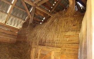 Poiana Sohodol I 5600 MP I Trei corpuri cladiri I Utilitati - Poză 44