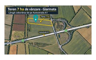 Teren 7 ha Giarmata | lângă A1 - Poză 6