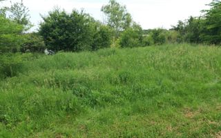 Teren Buftea cu iesire la lac - Poză 7