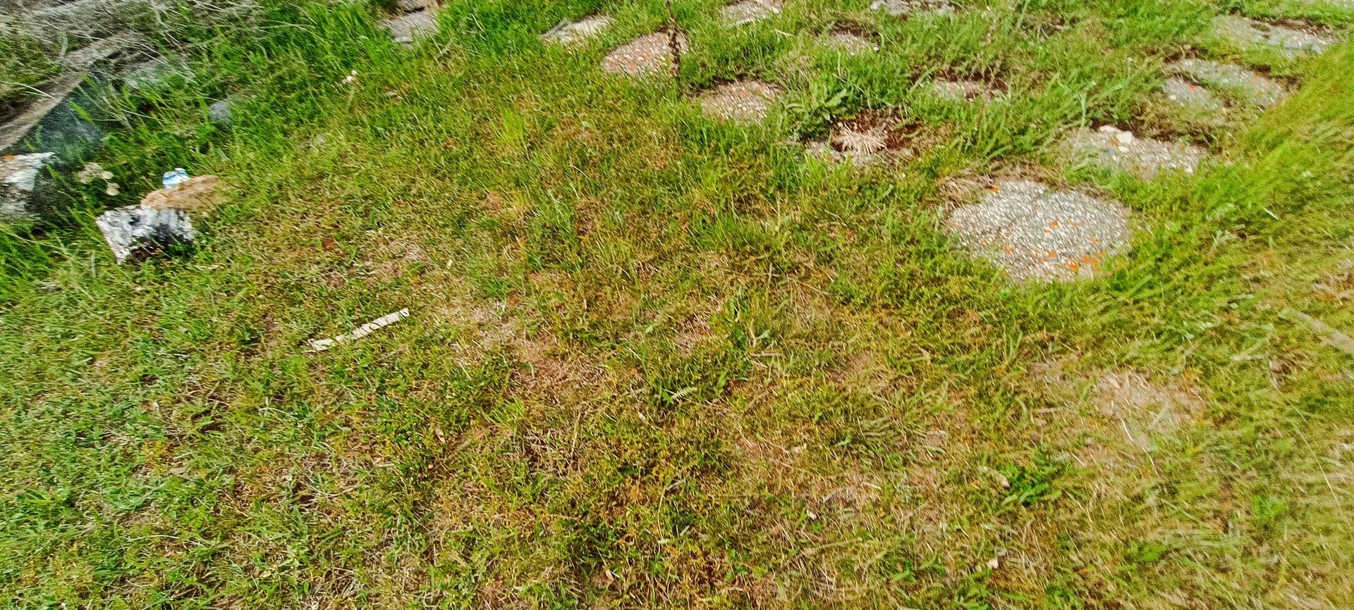 Teren in localitatea Reci,langa lacuri - Poză 12