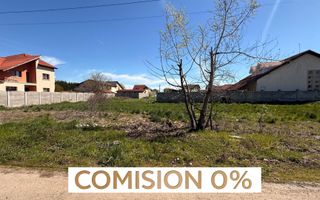 Comision 0% Teren de vanzare 699mp Dumbrăvița | Front 17,15 utilitati - Poză 1