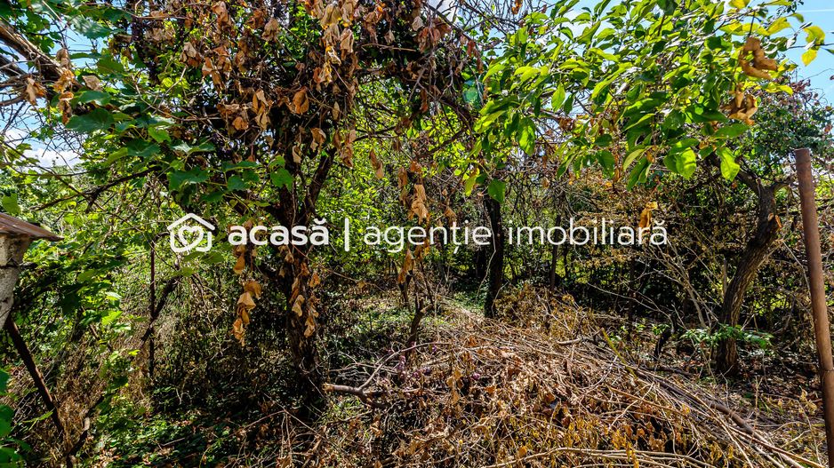 Casă pe Dorobanților | 716 mp teren | centrală gaz | Pârneava - Poză 12