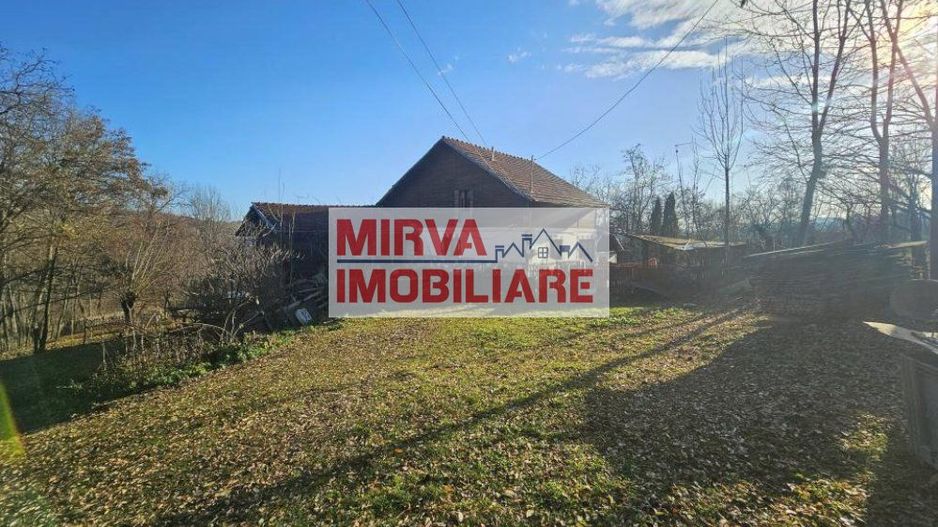 Vanzare casa plus anexa, teren 3843 mp, in Sat Pietriceaua - Poză 7