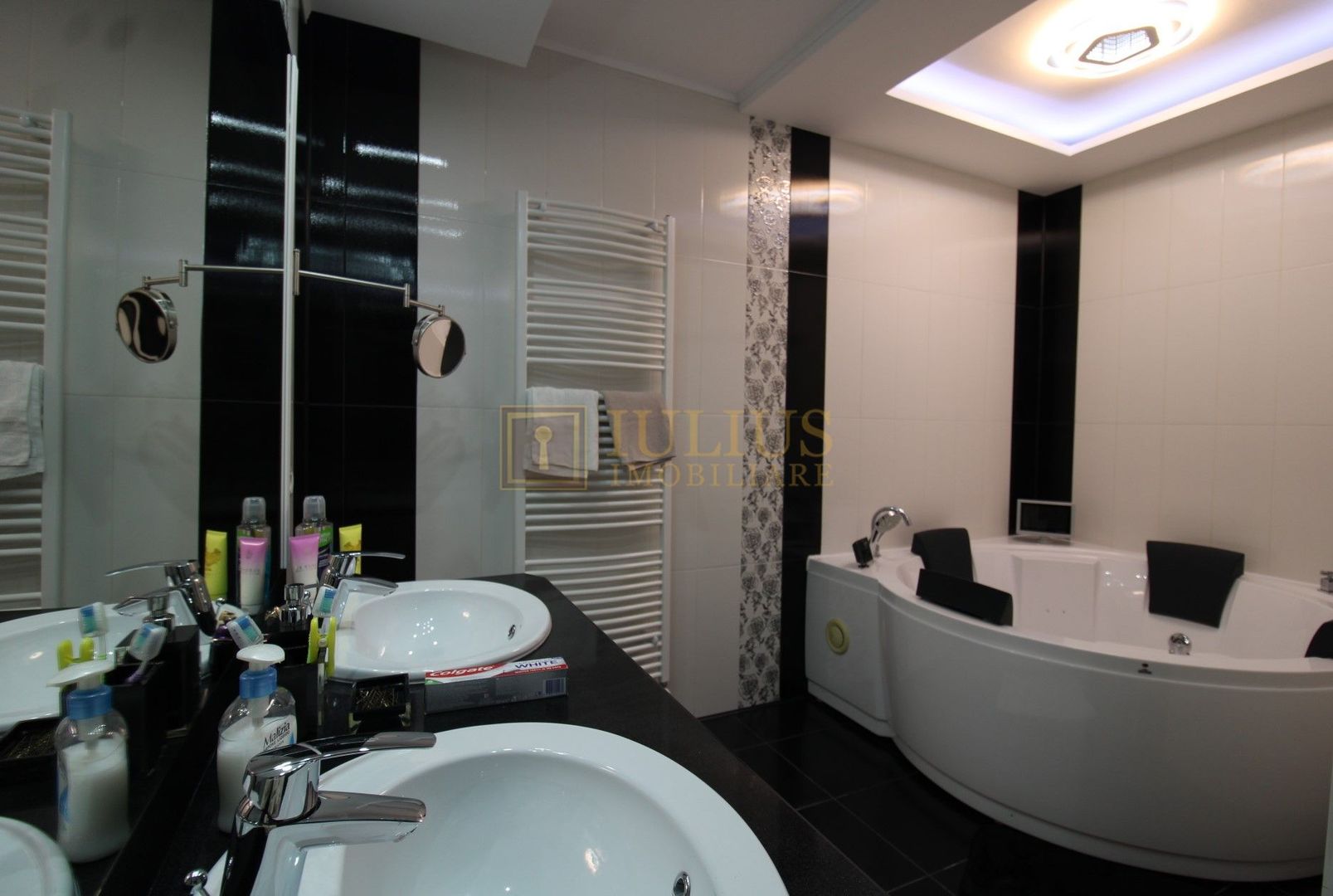 Sat Giroc, ideal pentru diverse afaceri sau pentru locuit. - Poză 15