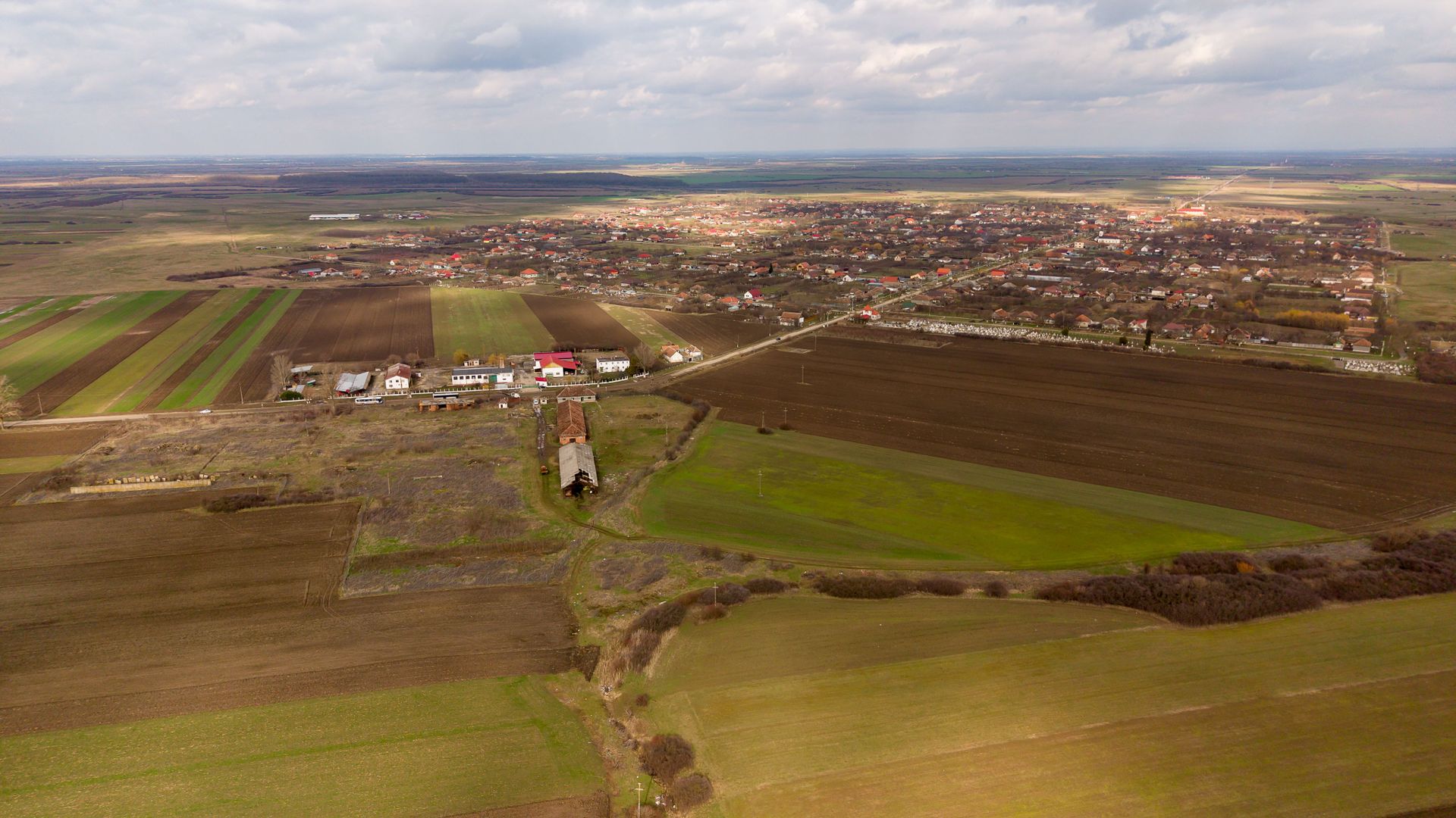 Fermă cu teren intravilan de 35000 mp în Mișca - Poză 3