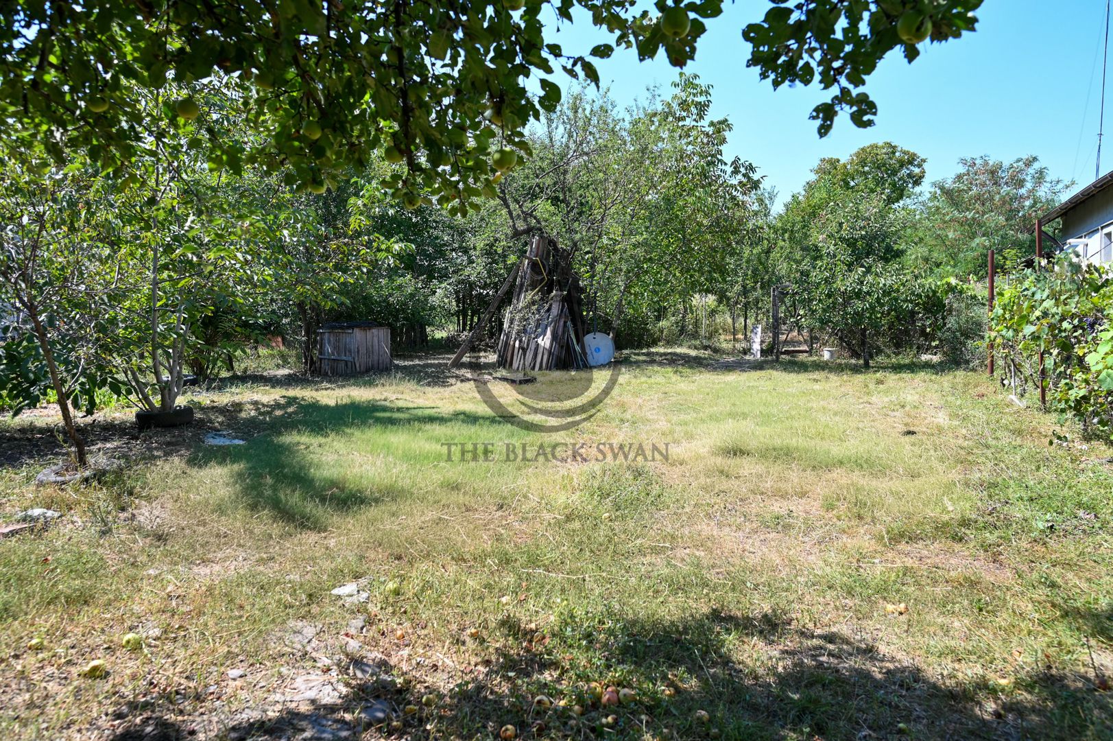 Casa de vanzare | 1.048 Mp teren | Romanesti - Poză 25