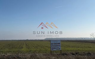 Teren intravilan, 4927 mp, Darmanesti, Dambovita - Poză 1