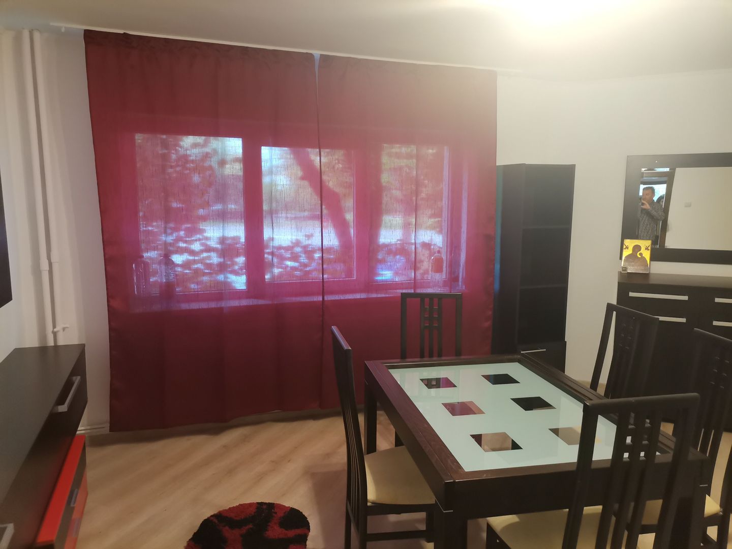 Inchiriere apartament 2 camere, Eremia Grigorescu - Poză 6