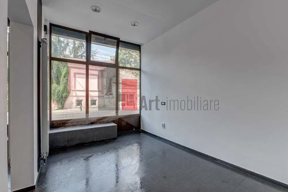 Spatiu comercial de inchiriat in zona Stefan cel Mare/Strada Viitorului (Horeca) - Poză 9