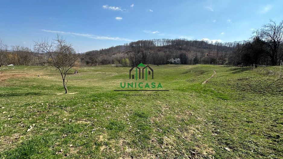 Teren Govora / 8131mp - Poză 4