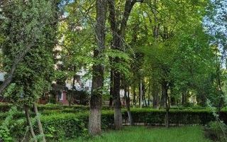 Apartament renovat, balcon mare, zonă verde liniștită, Iulius Mall. - Poză 13